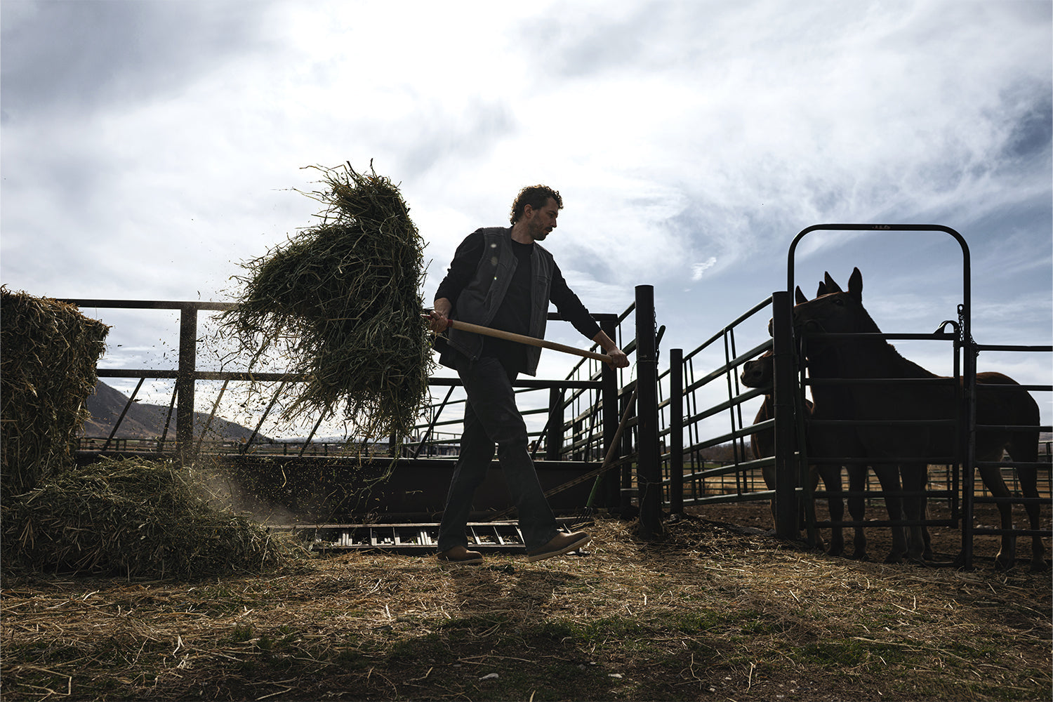 INTEGRITY FIRST: WESTON KAY OF ROSE ANVIL