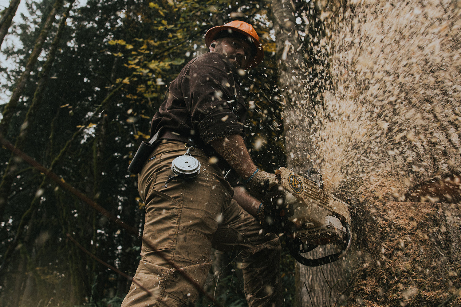 Brennen Miller: Felling Timber with Respect