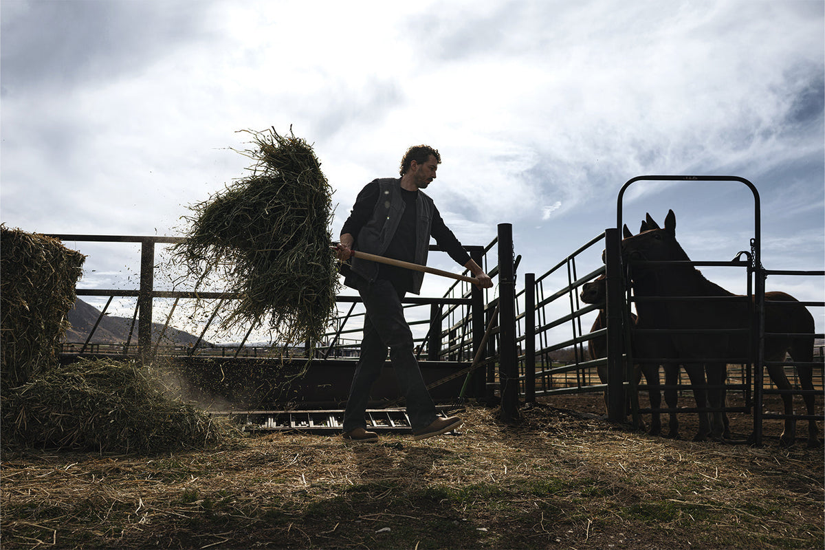 INTEGRITY FIRST: WESTON KAY OF ROSE ANVIL