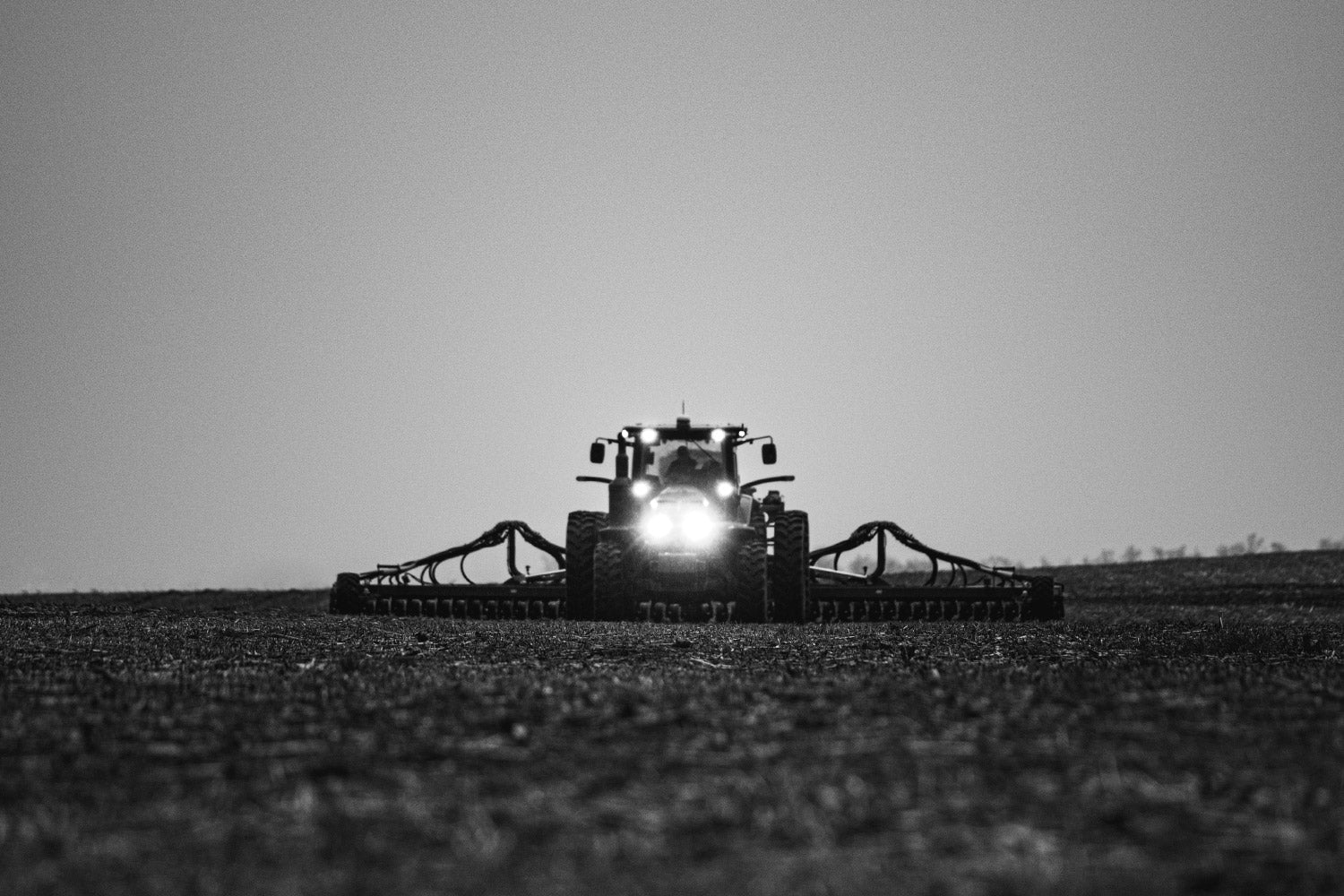 TAYLOR SUMPTION: FARMING OATS ON AMERICAN SOIL